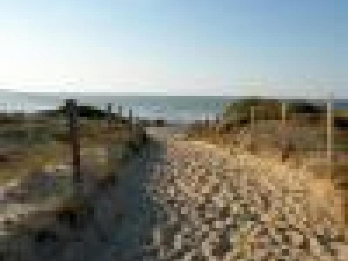 Appartement Cosy A 300M De L'Ocean Au Coeur De La Station - Balcon Et Parking Securise - Fr-1-239-144 セノッス - ル・ペノン エクステリア 写真
